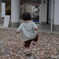 ブログ
