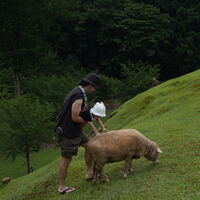 ブログ